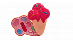 Ice Cream children's decorative cosmetics set, 1 pc.