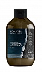 Ecolatier Urban Shower gel & shampoo 2 в 1 SPORT for MEN GRAPEFRUIT & VERBENA 600 ml