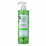BELLE JARDIN Vegan Fito Energy Shampoo-Conditioner with nettle and Fito proteins, 400ml